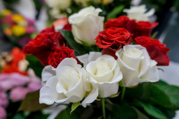 Bouquet with red and white roses. Close up of flowers..Beautiful floral background. Concept of holiday, presents, flower shop.