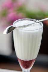 milk dessert with fresh berries