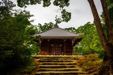 japanese pavilion in park