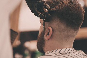 Brutal bearded man getting beard haircut by hairdresser at barbershop
