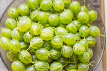 ripe gooseberry berries close up