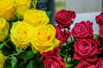 Roses in floral shop, fresh cut roses, beautiful flower background.