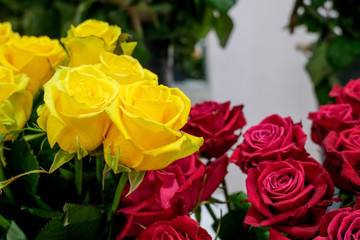 Roses in floral shop, fresh cut roses, beautiful flower background.