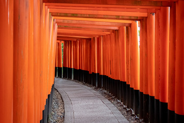 Fototapeta premium japan