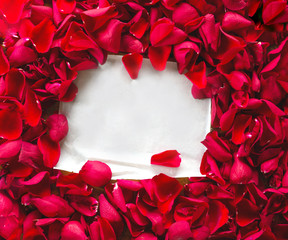 Blank white paper surrounded with red rose petals, romantic background space for text