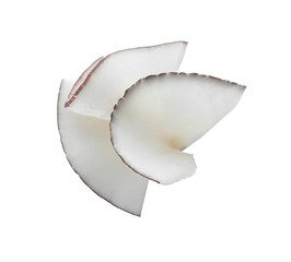Tasty fresh coconut flakes isolated on white, top view