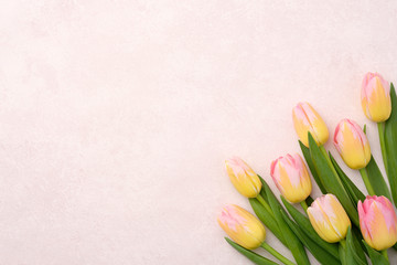 A bouquet of pink and yellow tulips on a background with copy space.