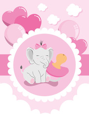 cute elephant female with pacifier and decoration vector illustration design