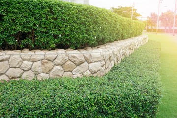 Decorate the garden into shapes, laying stones alternately.