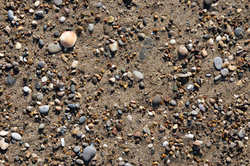 sands beach and sunny day