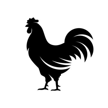 hen silhouette vector. Chicken cock silhouette,vector images isolated on white background, flat vector Farm Animal illustration