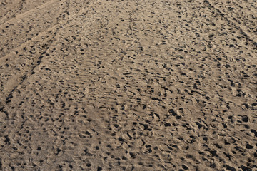 sands beach and sunny day