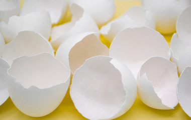 Close up of lots of broken white eggshells on a yellow background
