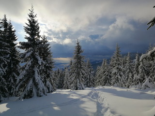 Zimowa sceneria w niskich Tatrach na Słowacji
