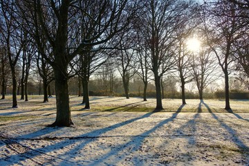 Fototapeta premium Frosty Winter landscape.