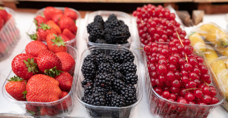 strawberries, blackberries and red currants for sale at the Bolzano market. Italy