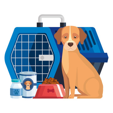 pet carry box with dog and icons vector illustration design