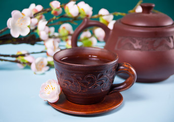 Brown ceramic teapot and cup with tea. Blossom cherry branch sakura on the background. Asian oriental style.