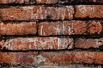 Bright background with old bricks