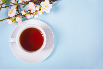 A cup of tea and cherry blooming with flowers sakura on the blue background. Spring concept. Top view. Copy space