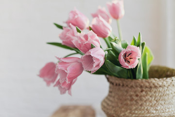 pink tulips at home on a wooden table