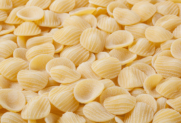Uncooked orecchiette pasta background