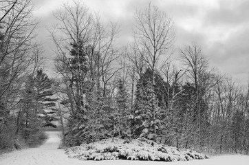 Fototapeta premium 558-02 Newport Winter Morning
