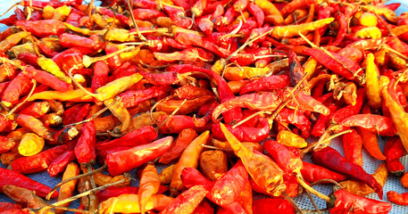 Indian red mirchi Very hot and nice image. fresh red mirchi.