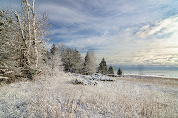 558-56 Snow Dusted Shore