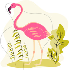 Flamingo