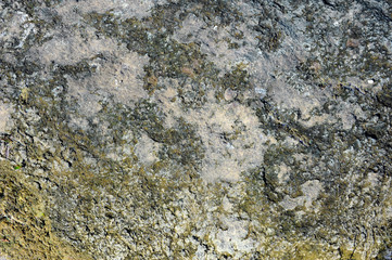 Natural Photography Some of The Stone 