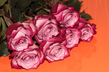 Pink rose buds on an orange background. Colorful flowers for postcards.