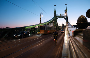 Fototapeta na wymiar The Liberty Bridge in Budapest.