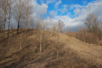  slope of wild grass  in late autumn