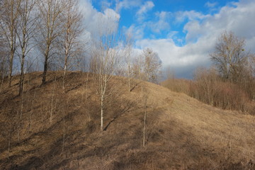  slope of wild grass  in late autumn