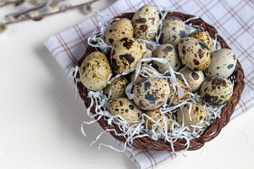 Obraz premium Quail eggs are placed in a wicker basket next to a willow twig. Getting ready for Easter. On white background.