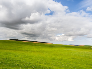 green field and blue sky