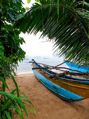 Beautiful photo of water rain droplets falling from palm leaves on old wooden canoe on the beach