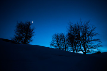 Fairy winter night landscape with snow and moon