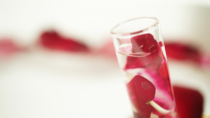 red rose petals on water and laboratory for nature science concept background