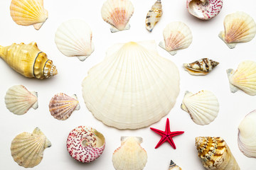 Summer background beach with Trendy natural organic color shells and starfish in shape frame isolated on white backdrop. Top view travel or vacation concept