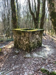 Old stone well in the deep forest