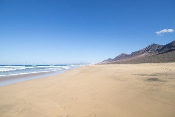 Fototapeta na wymiar Sandy beach texture