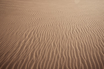 Sandy beach texture