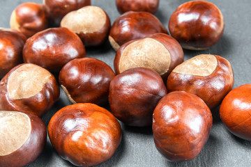 Lots of beautiful ripe shiny brown chestnut kernels on gray stone board close up. Selective focus. Background for your design scenery postcards wallpaper