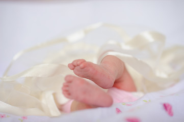 Newborn baby feets on a light background