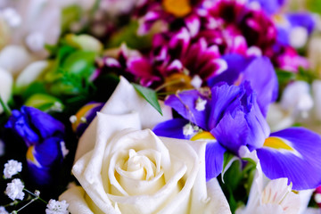Designer bouquet. Roses and irises