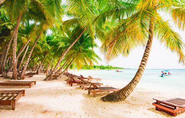 palm beach chaise longue caribbean sea