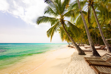 palm beach chaise longue caribbean sea