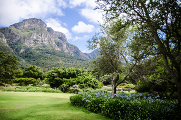 Nice sunny day in parq